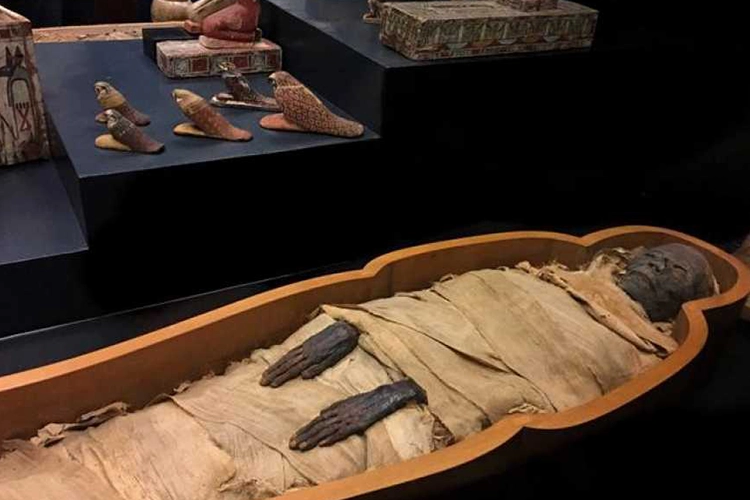 Luxor Museum