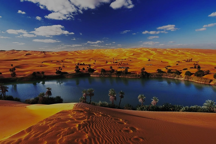 Tour to El Fayoum 2