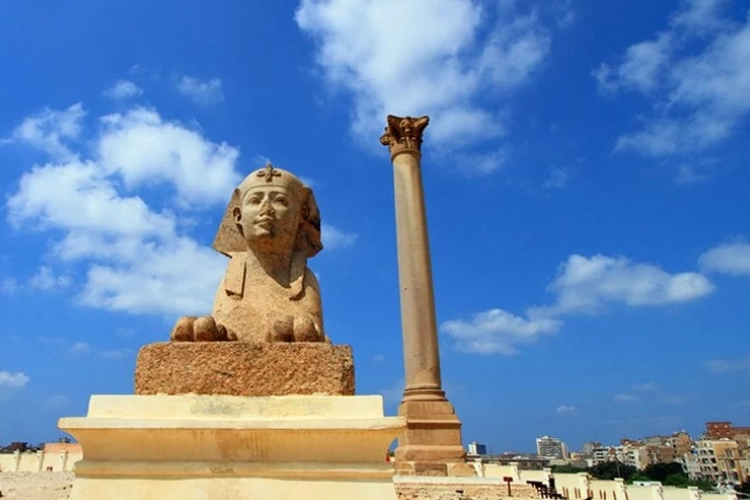 Trip to Alexandria3