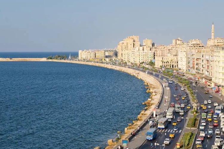 Trip to Alexandria4