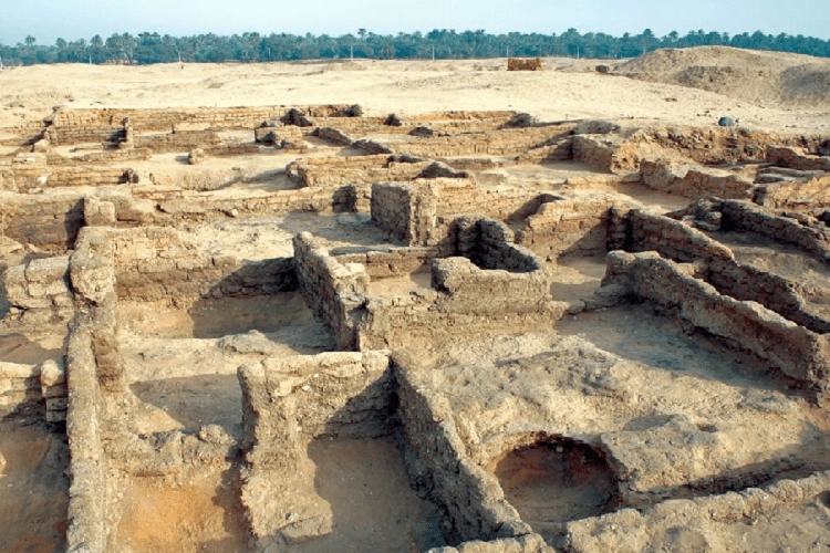 Trip to El Minya2